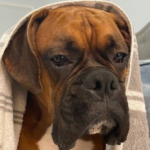 Meet your Posher, Kim